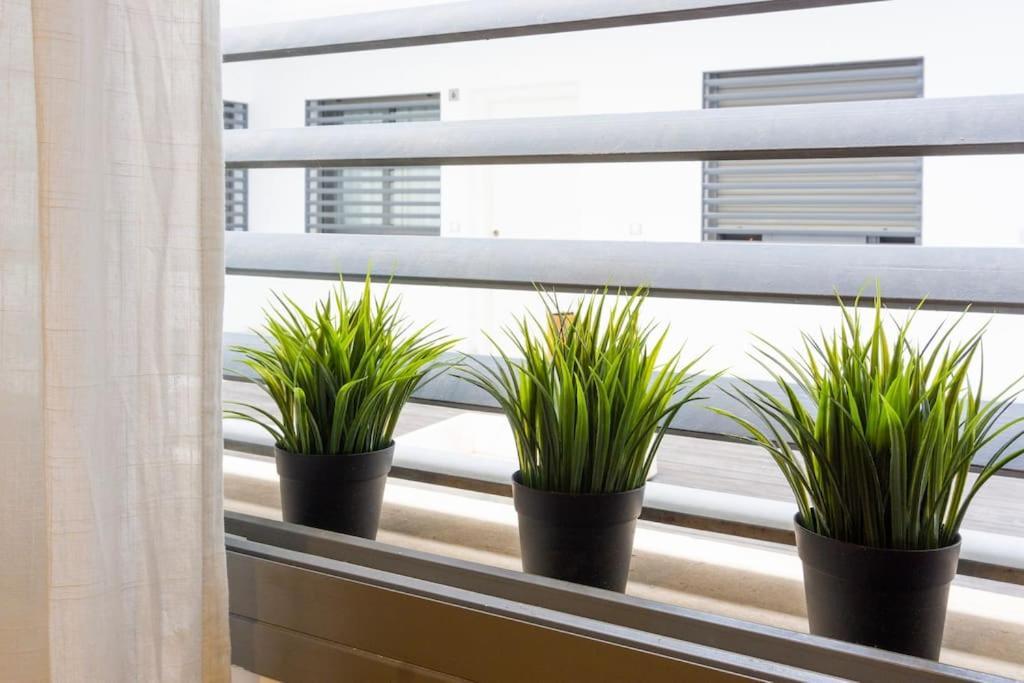 Twinsuites Màlaga Exteriér fotografie